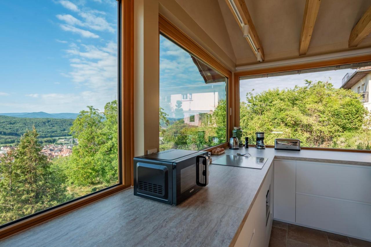Villa Le Grand Nichoir De La Colline - Parking - Wifi Mutzig Esterno foto