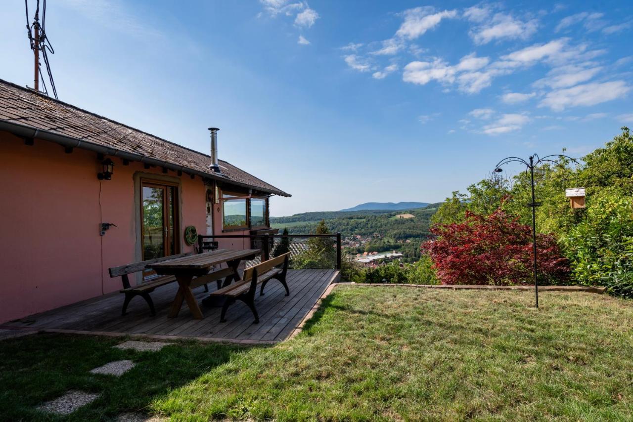 Villa Le Grand Nichoir De La Colline - Parking - Wifi Mutzig Esterno foto